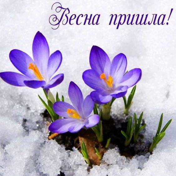 Поздравления с первым днем весны в прозе - Новости на жк-вершина-сайт.рф
