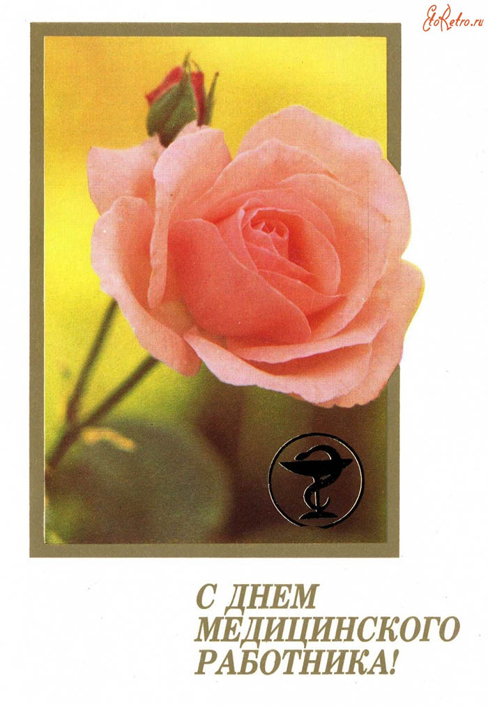 Красивая открытка С Днём медицинского работника с розой
