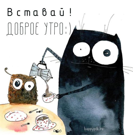 Самые прикольные открытки "Доброе утро" с котами, кошками, котятами