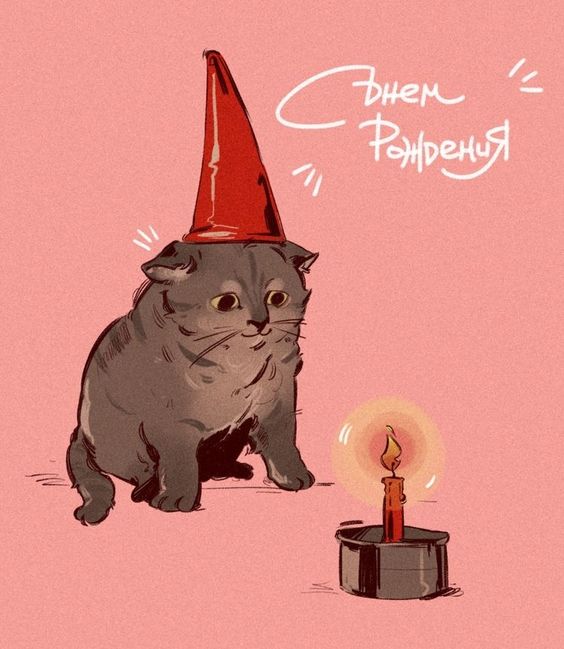 прикольные открытки с днем рождения с котиками