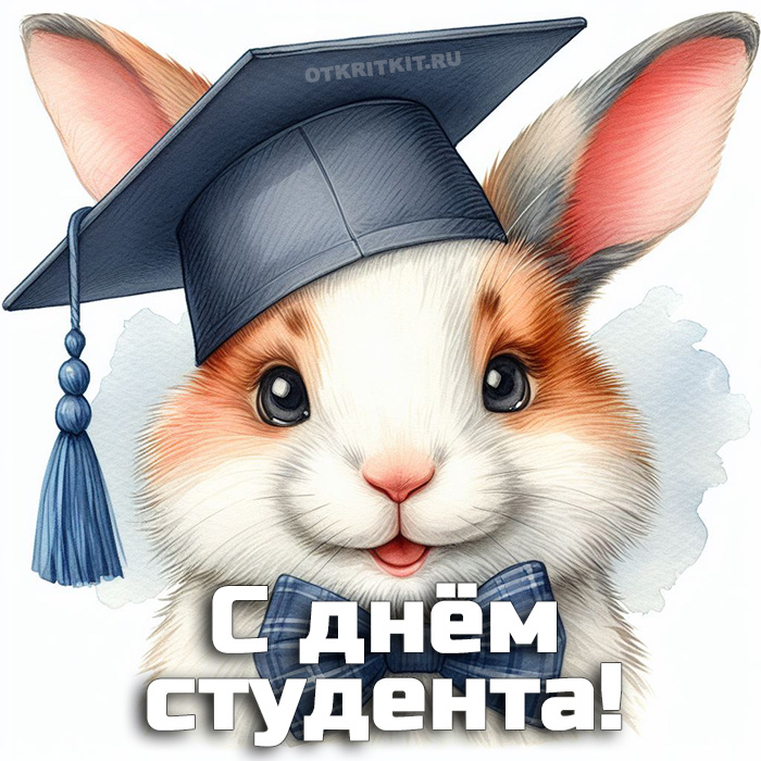 Международный день студентов - открытки на WhatsApp, Viber, в Одноклассники
