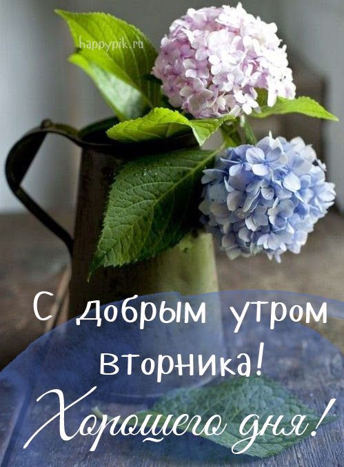 Красивые открытки "Доброе утро вторника!" с цветами.