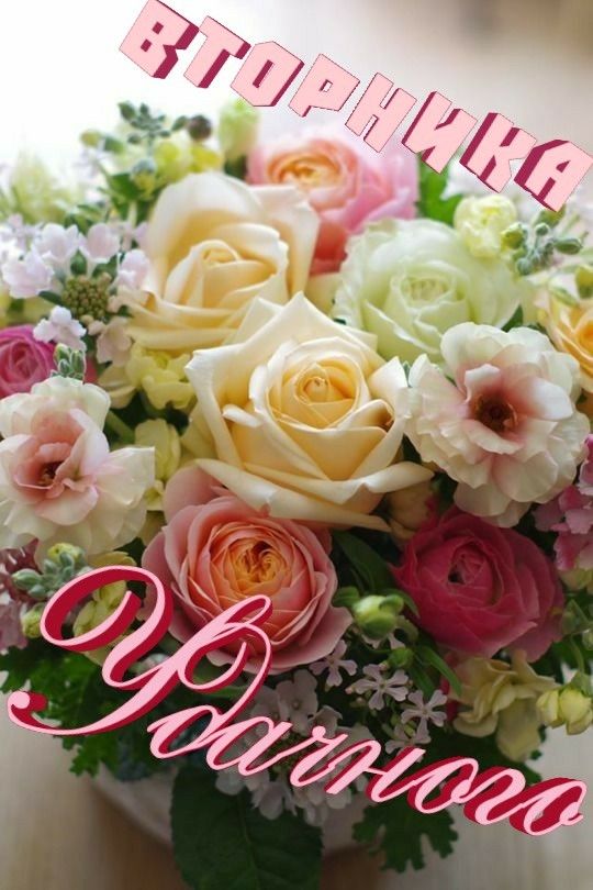 Красивые открытки "Доброе утро вторника!" с цветами.