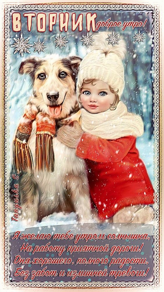 Прикольные открытки "Доброе утро вторника!" с животными и людьми