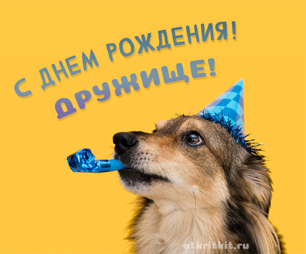 Прикольные открытки с собаками на день рождения