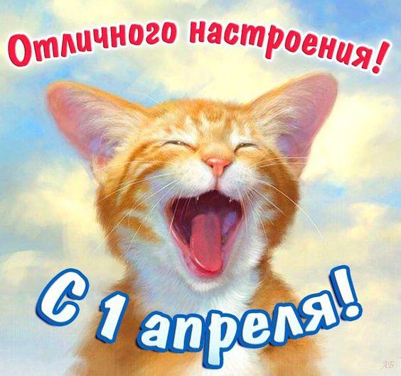 Прикольные открытки на 1 апреля со смешными котиками, собачками и другими животными.