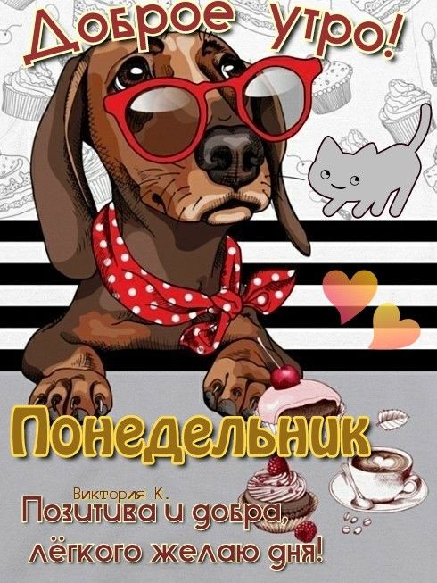 Смешные картинки и открытки "Доброе утро понедельника" с котами и собачками
