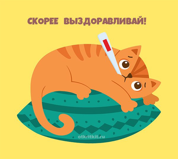 Прикольные открытки и картинки "Выздоравливай скорее!" с котиками, собаками и другими животными.