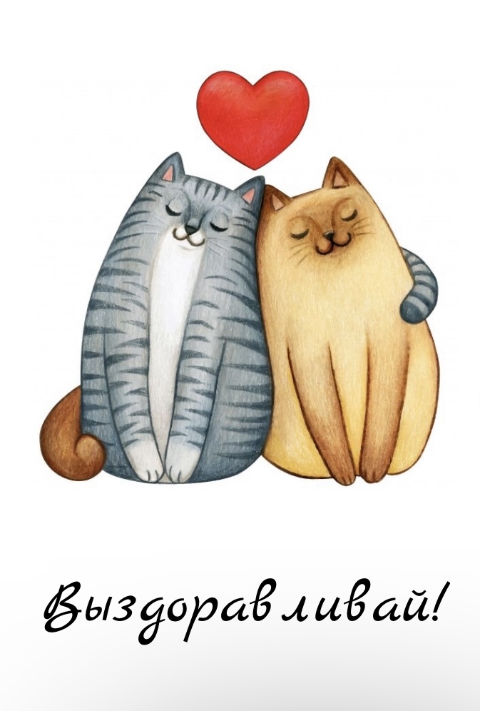 Прикольные открытки и картинки "Выздоравливай скорее!" с котиками, собаками и другими животными.