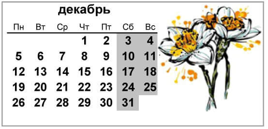 Праздники России 2022. Профессиональные, государственные и традиционные праздники по месяцам