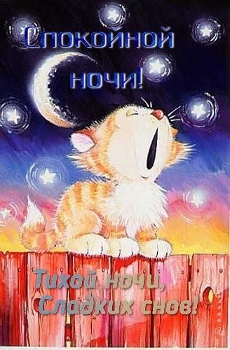 Прикольные открытки Спокойной ночи с котиками