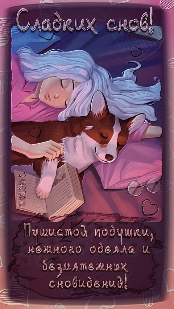 Прикольные открытки Спокойной ночи с собачками