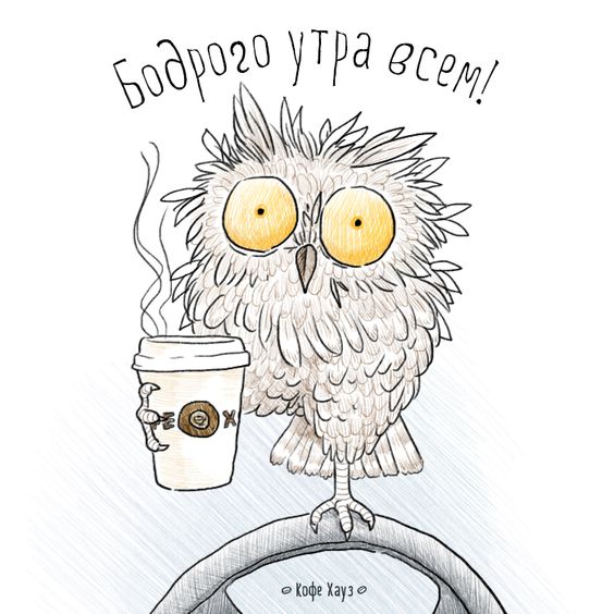 Прикольные открытки со смешными совами и пожеланием "Доброе утро"!
