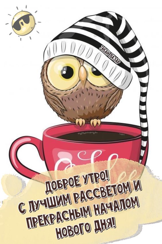 Прикольные открытки со смешными совами и пожеланием "Доброе утро"!