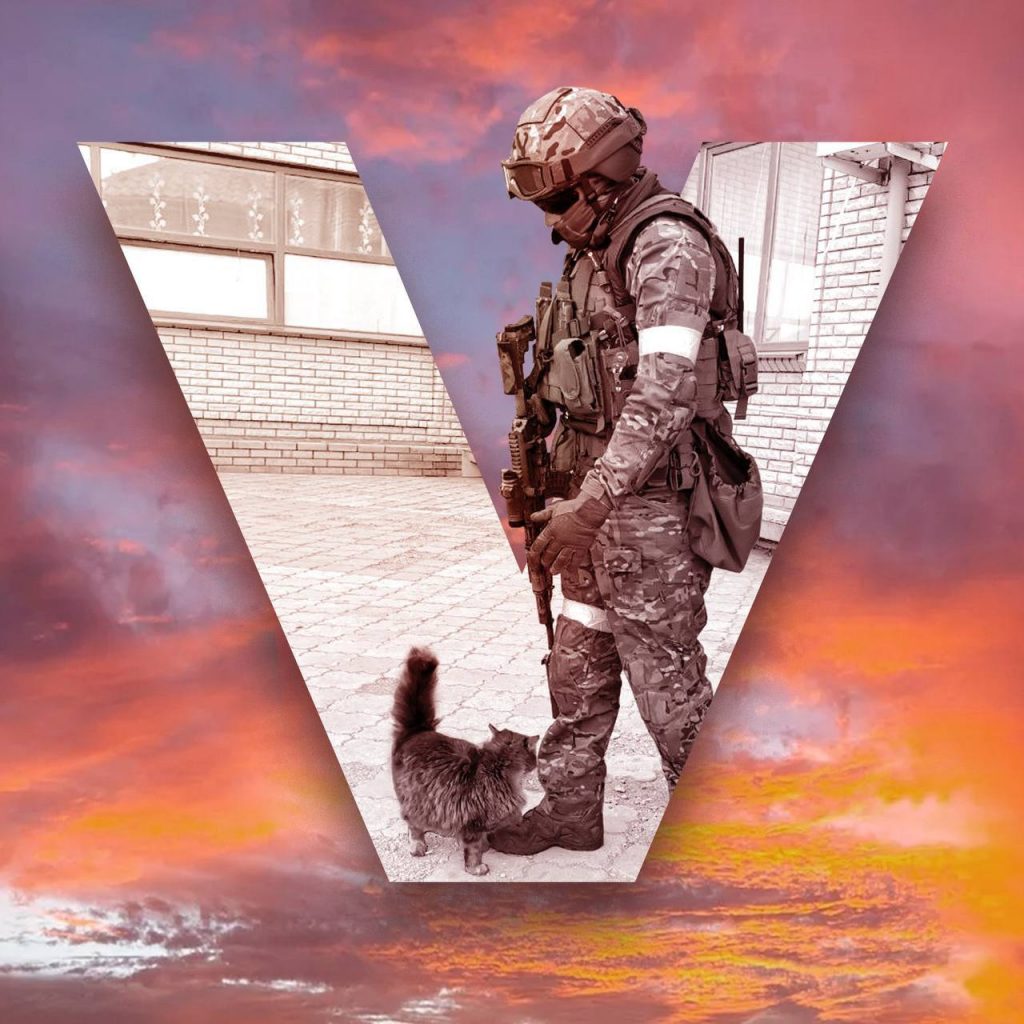 Символ "V" (военный с котом)