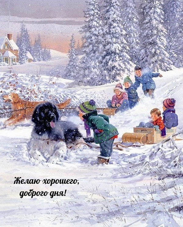 Классные открытки с пожеланием Хорошего зимнего дня