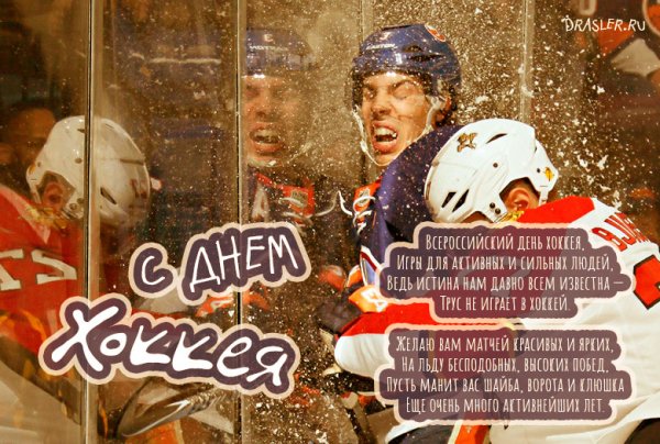 Прикольные открытки на День хоккея