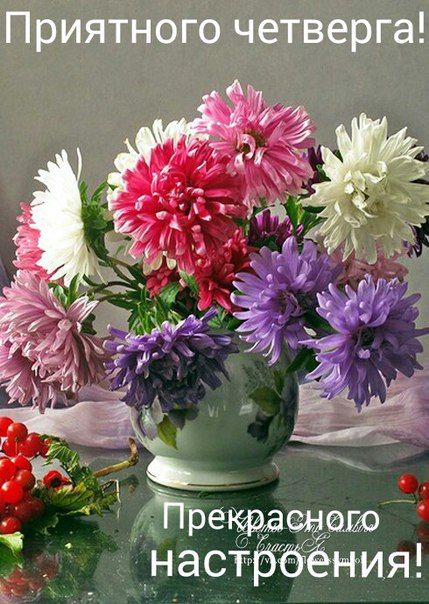 Красивые открытки с цветами для доброго утра четверга.