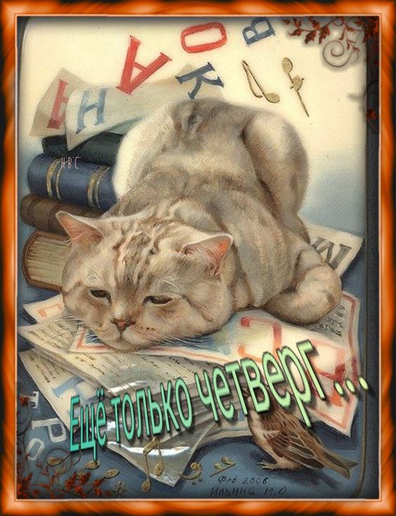 Красивые открытки "С добрым утром четверга" с котиками.